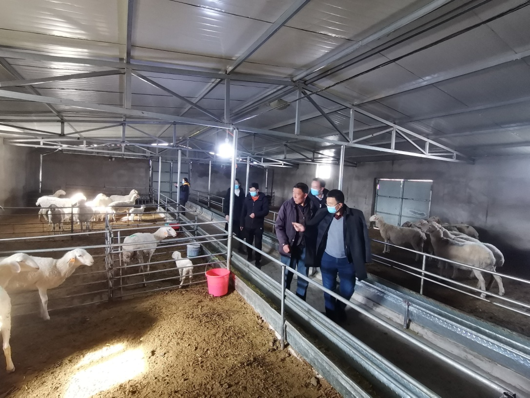 圖片2.png 圖片2.png